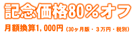 30ヶ月版・３万円（税別）
月額換算1,000円